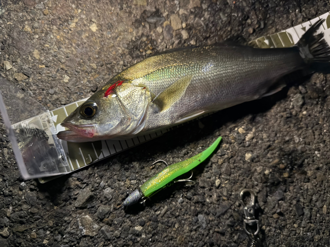 DAIWA 21シーバスハンター X 90ML・Rの最安値・インプレ・釣果