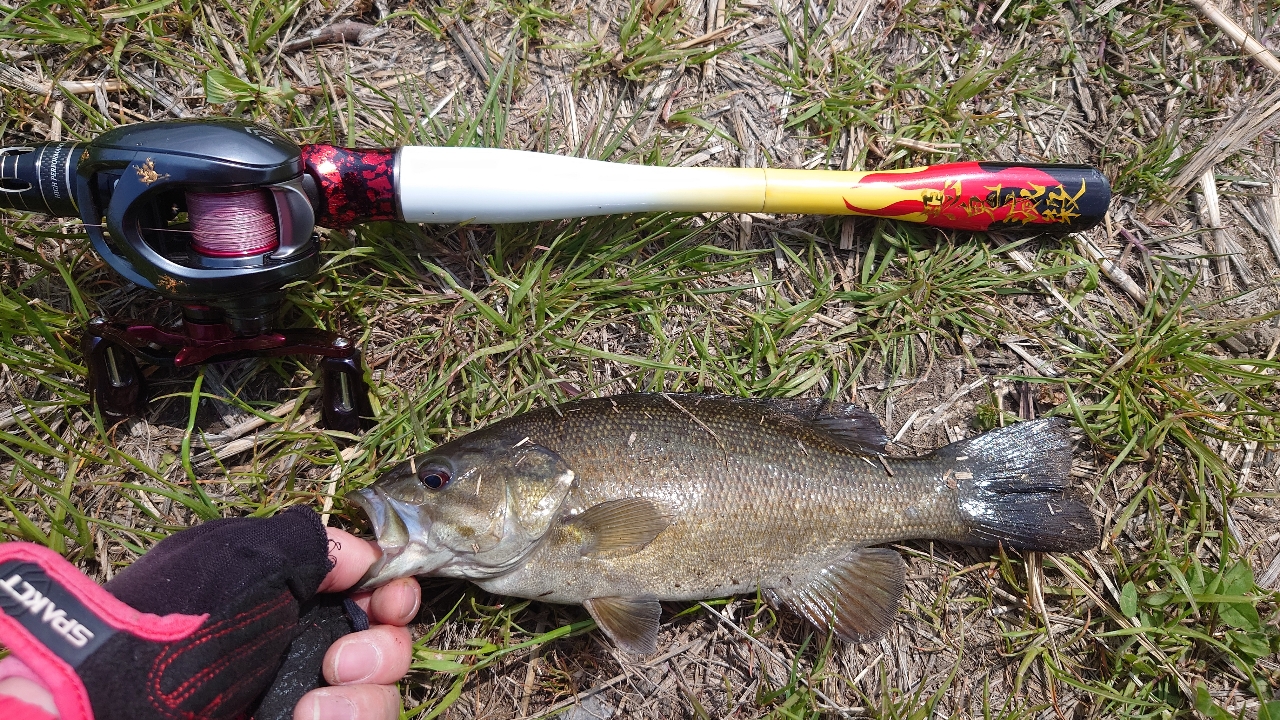 AbuGarcia ワールドモンスター WMCC-654M MGSの最安値・インプレ