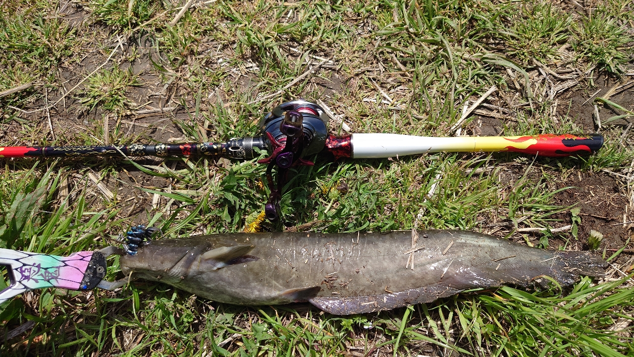 AbuGarcia ワールドモンスター WMCC-654M MGSの最安値・インプレ