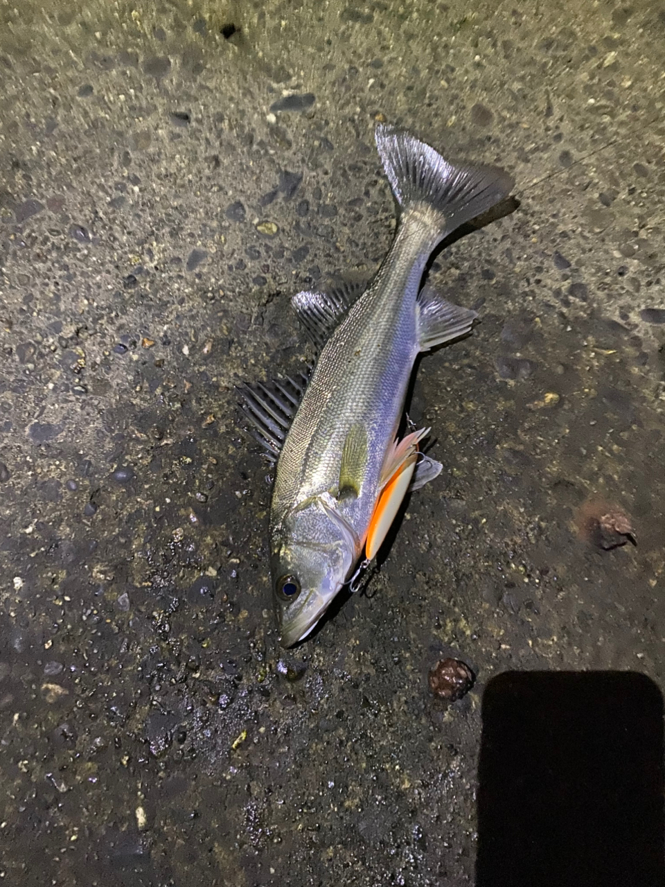 DAIWA 19モアザン（スピニングモデル） EX 87MLの最安値