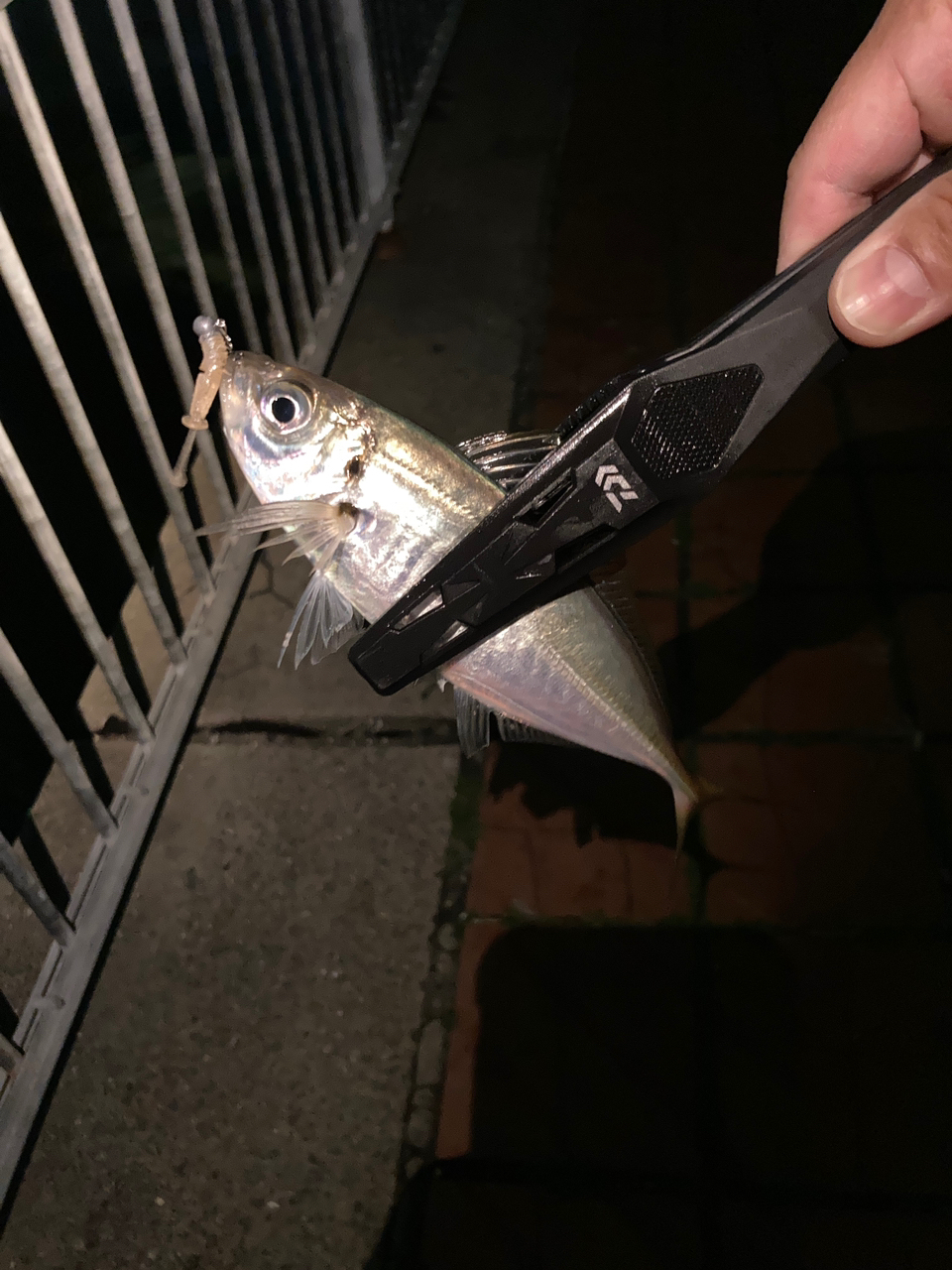 SHIMANO 22ソアレ XR C2000SSPGの最安値・インプレ・釣果 | 本音