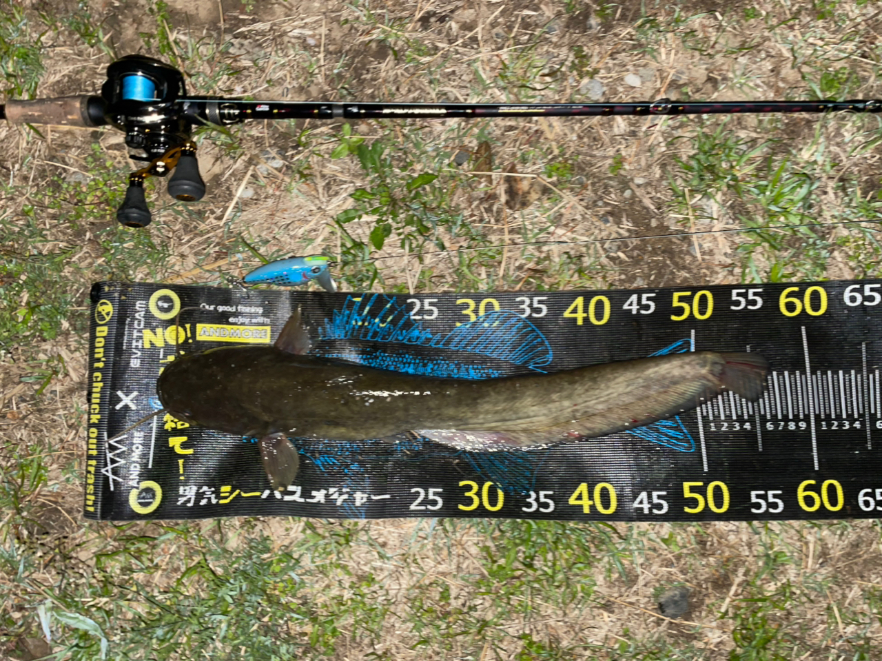 AbuGarcia ワールドモンスター WMCC-654M MGSの最安値・インプレ