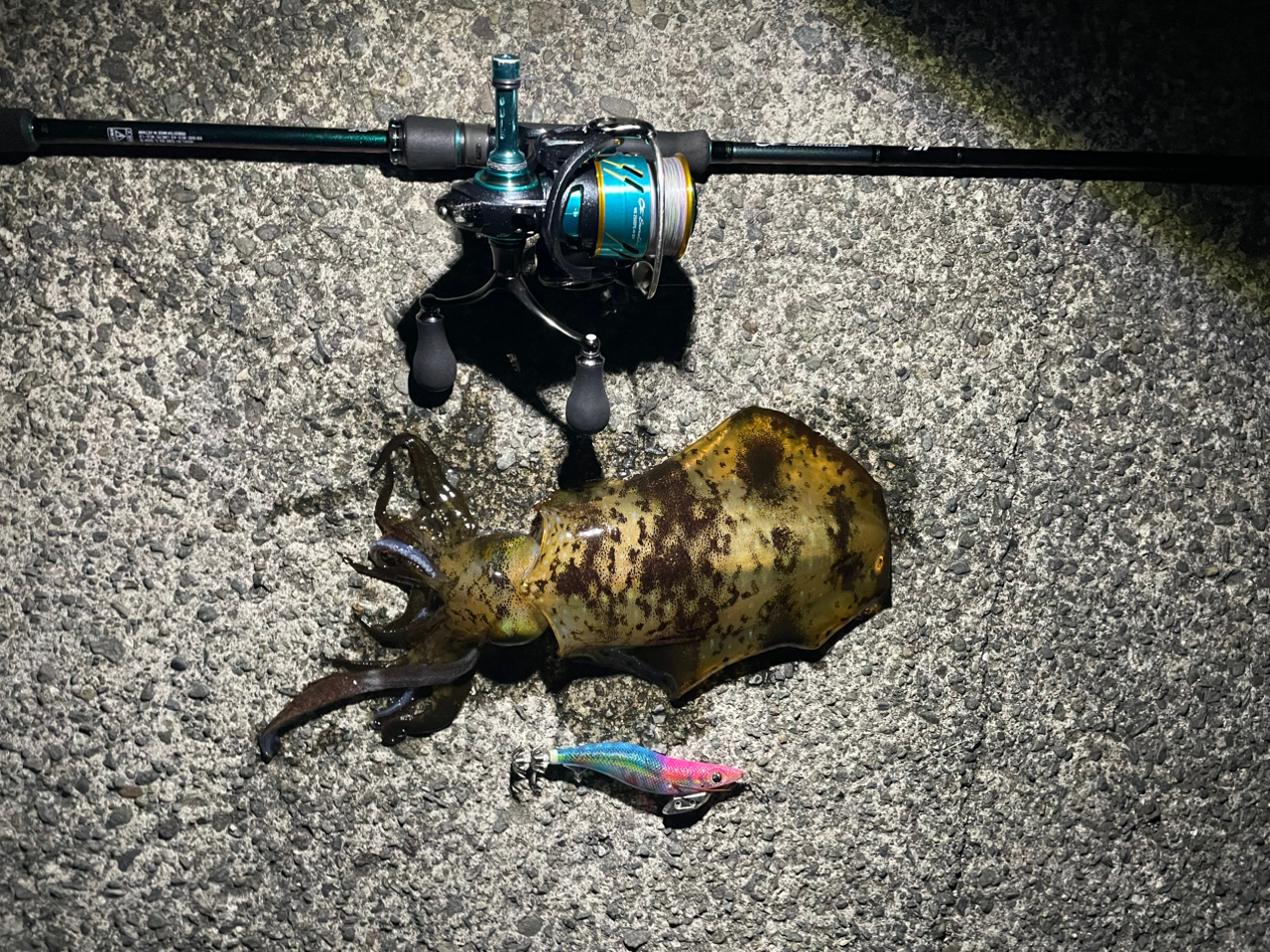 DAIWA 17エメラルダス MX 2508PE‐H‐DHの最安値・インプレ・釣果