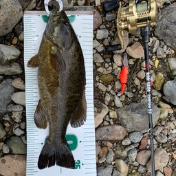 スモールマウスバス