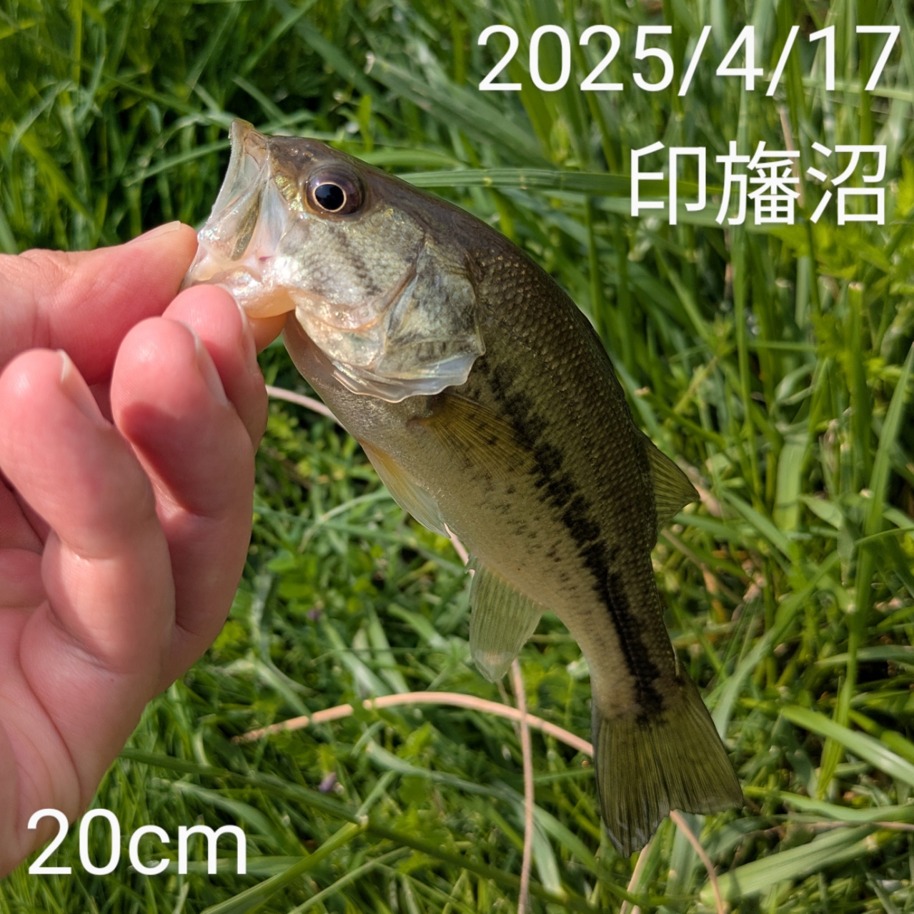 DAIWA 13ハートランド AGS 6102LFS-AGS13の最安値・インプレ