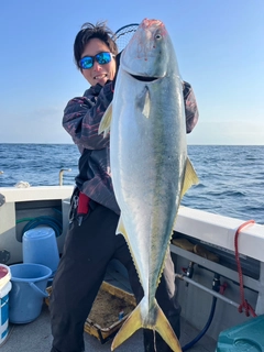 ブリの釣果