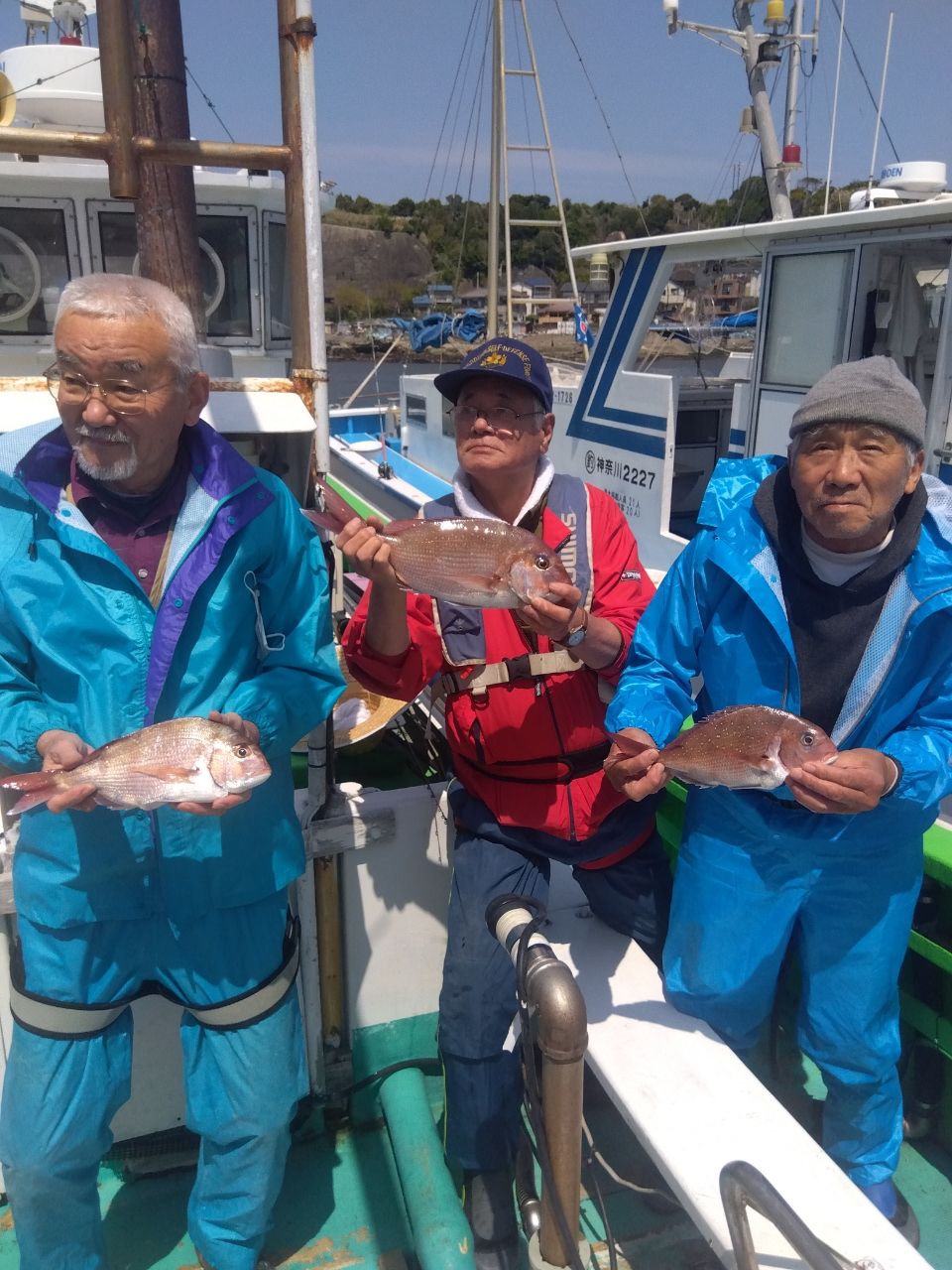 せどおと丸さんの釣果 2枚目の画像