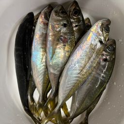 アジ