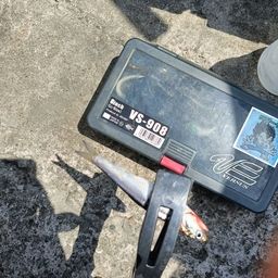 カタクチイワシ