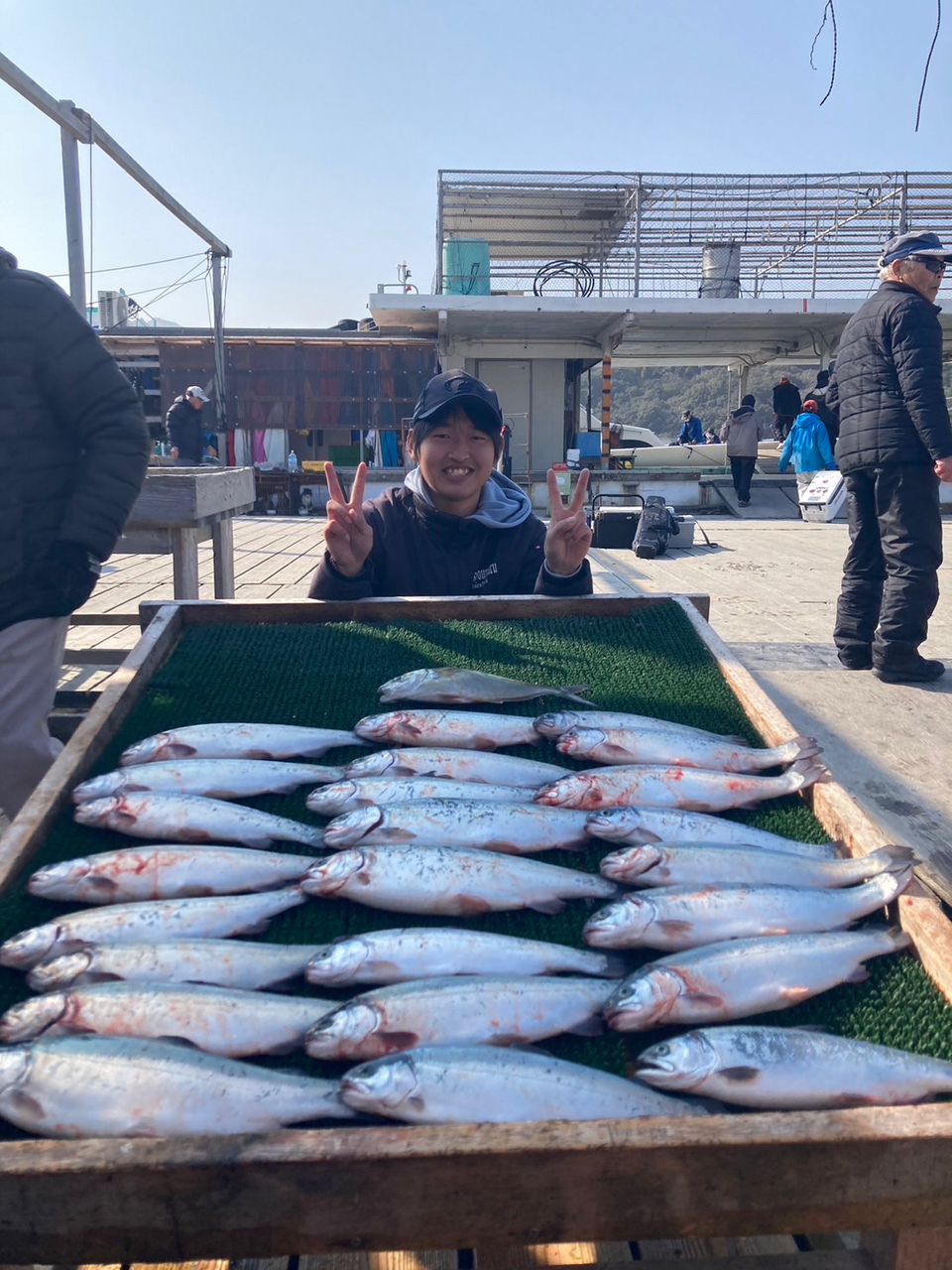 トラウトサーモン