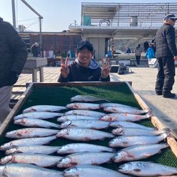 トラウトサーモン