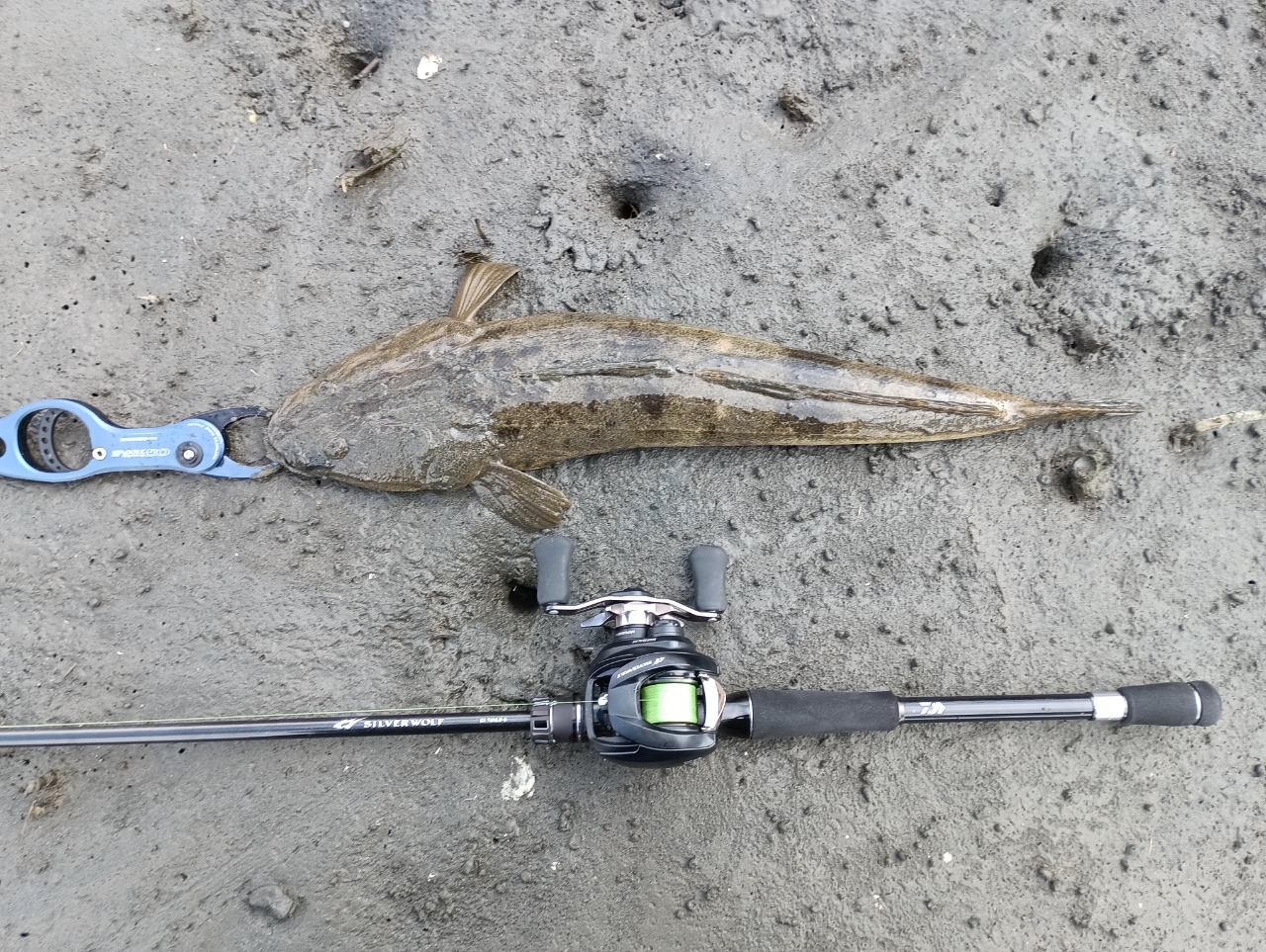 DAIWA 22シルバーウルフ SV TW PE スペシャル 1000XHの最安値