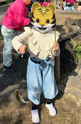 アマゴの釣果