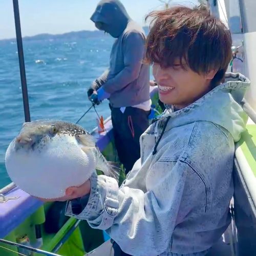 トラフグの釣果