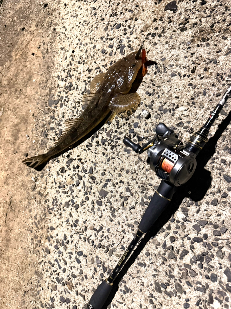 AbuGarcia クロスフィールド XRFC-662ML-BFの最安値・インプレ