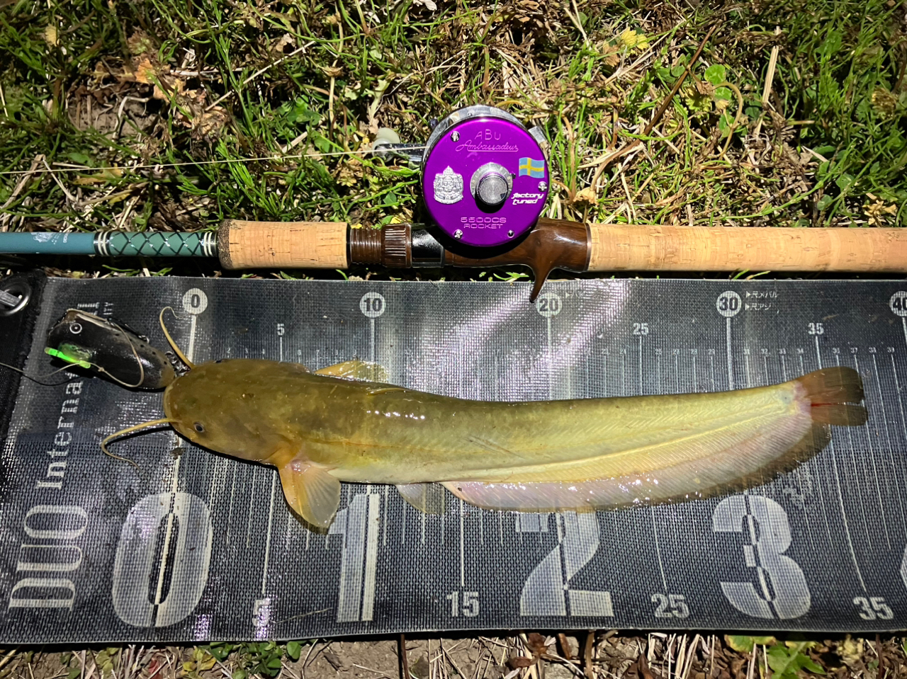 AbuGarcia アブ クラシックス CSNC-682Mの最安値・インプレ