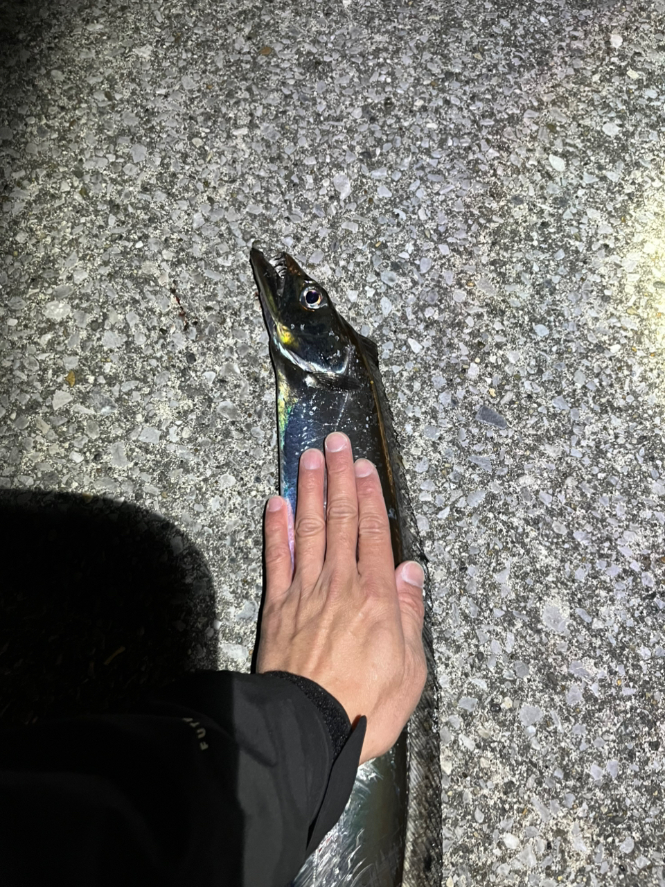 SHIMANO 21ムーンショット S96Mの最安値・インプレ・釣果 | 本音