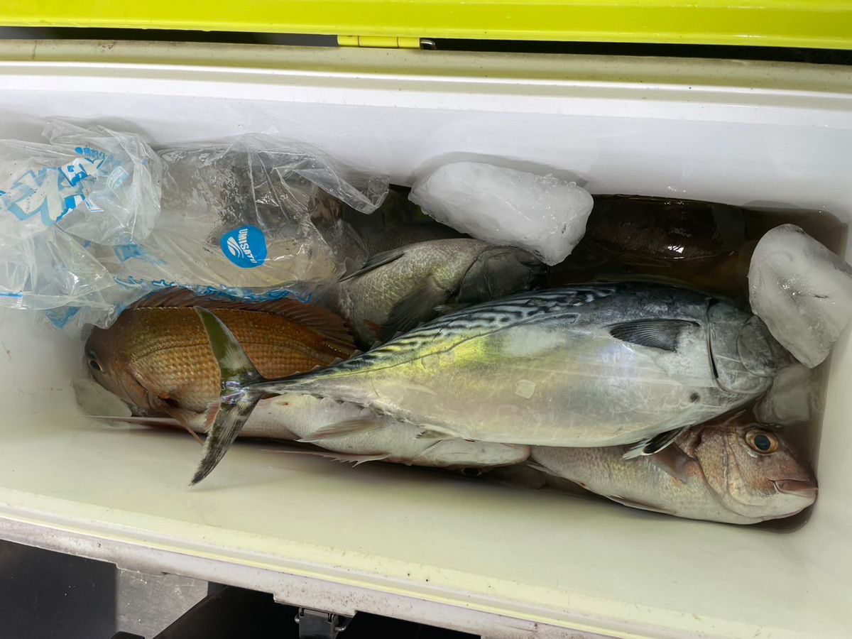 田畑良朗@なつき丸さんの釣果 3枚目の画像