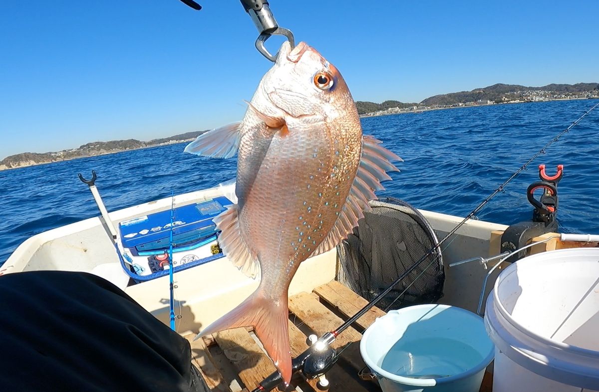 電脳ぱんださんの釣果 2枚目の画像