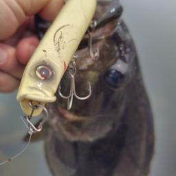 スモールマウスバス