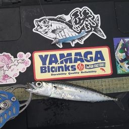 サバ