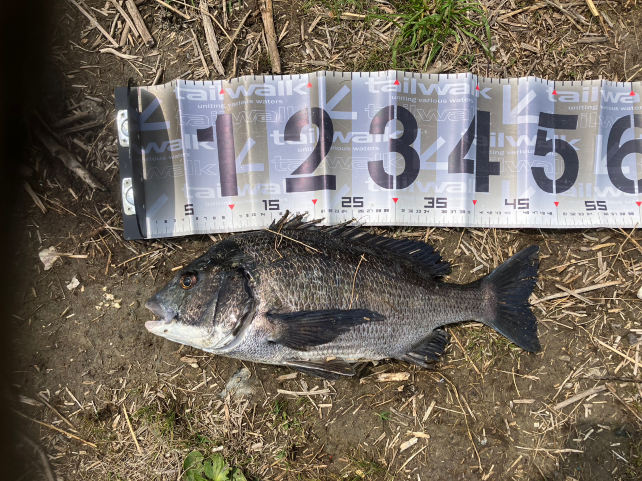DAIWA 21ラブラックス AGS 96Mの最安値・インプレ・釣果 | 本音 DAIWA 21ラブラックス AGS 96Mの最安値・インプレ・釣果 | 本音