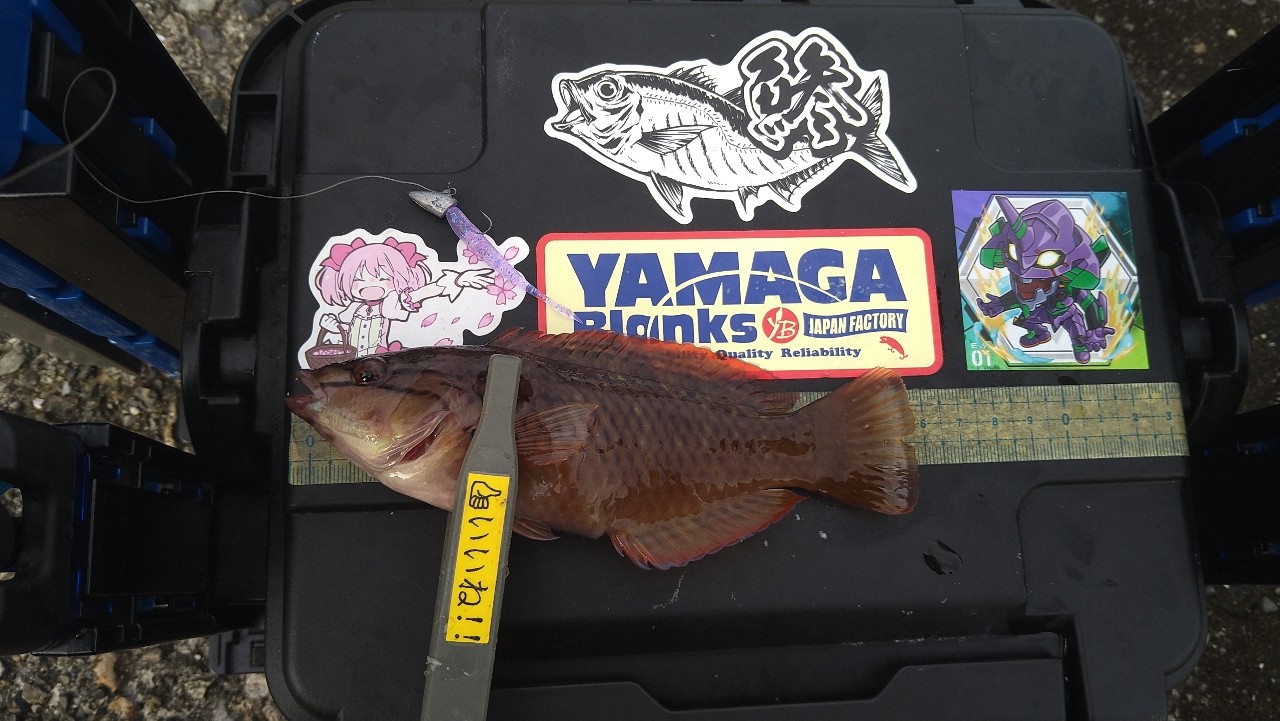 YAMAGA Blanks 20ブルーカレント 3 74の最安値・インプレ・釣果
