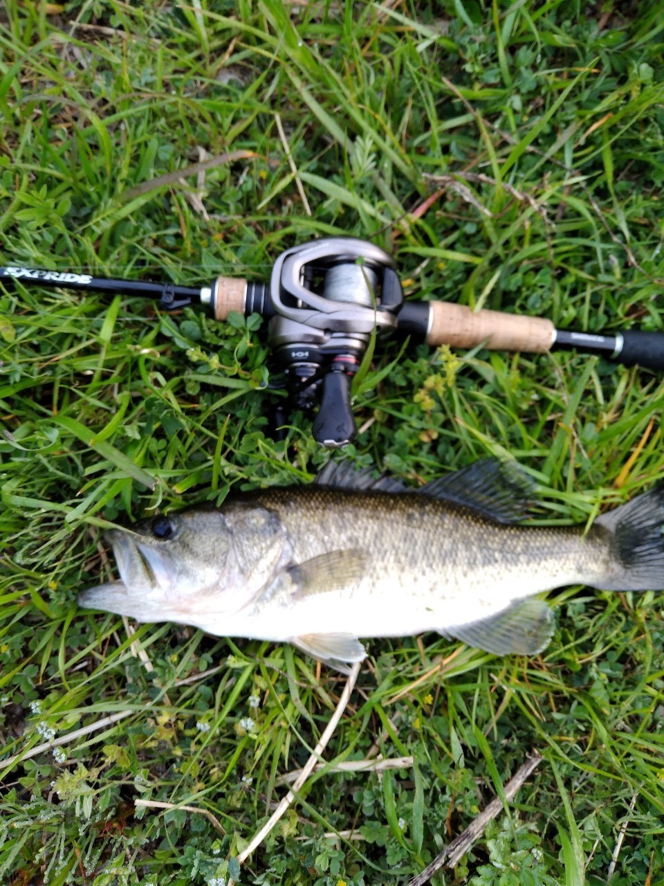 シマノ シマノ／SHIMANO エクスプライド 164L-BFS