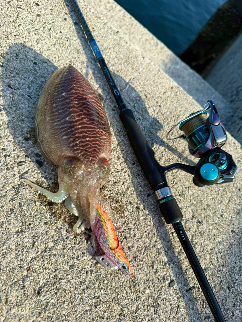 DAIWA 23エメラルダス RX LT2500の最安値・インプレ・釣果 DAIWA 23エメラルダス RX LT2500の最安値・インプレ・釣果