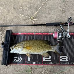 スモールマウスバス