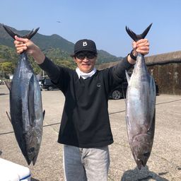 ビンチョウマグロ