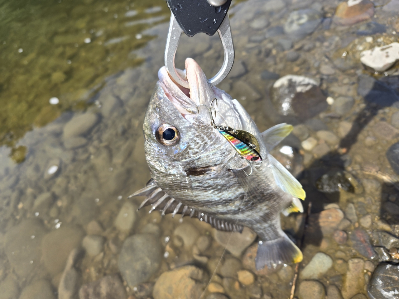 SHIMANO エクスセンスジェノス 2018年モデルの最安値・インプレ