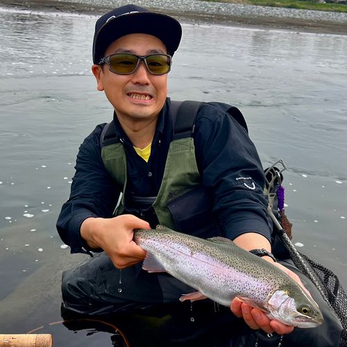 ニジマスの釣果