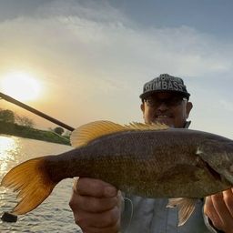 スモールマウスバス