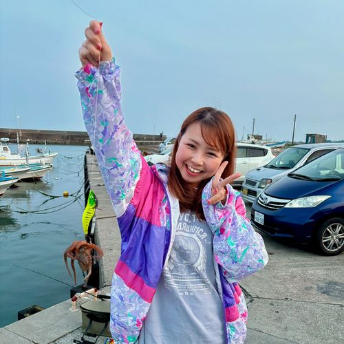 イイダコの釣果