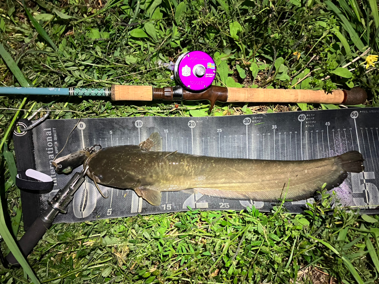 AbuGarcia アブ クラシックス CSNC-682Mの最安値・インプレ