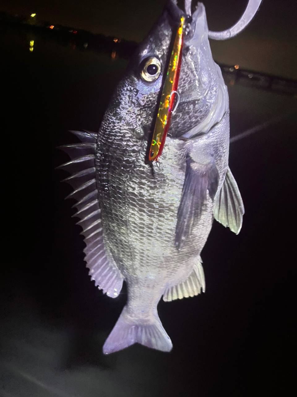 SHIMANO 19ヴァンキッシュ C3000MHGの最安値・インプレ・釣果