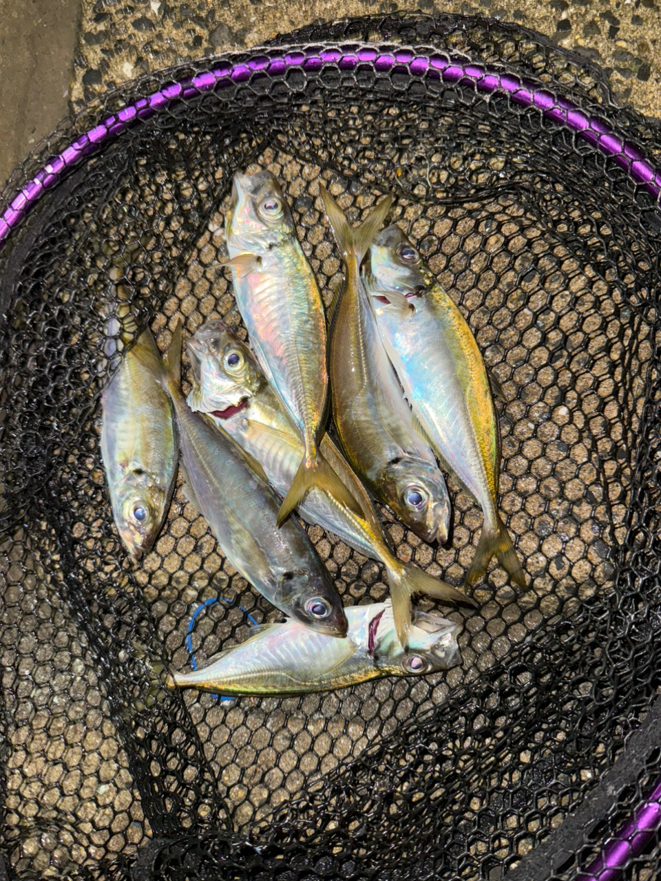 SHIMANO 20ソアレ エクスチューン S510SUL+-Sの最安値・インプレ