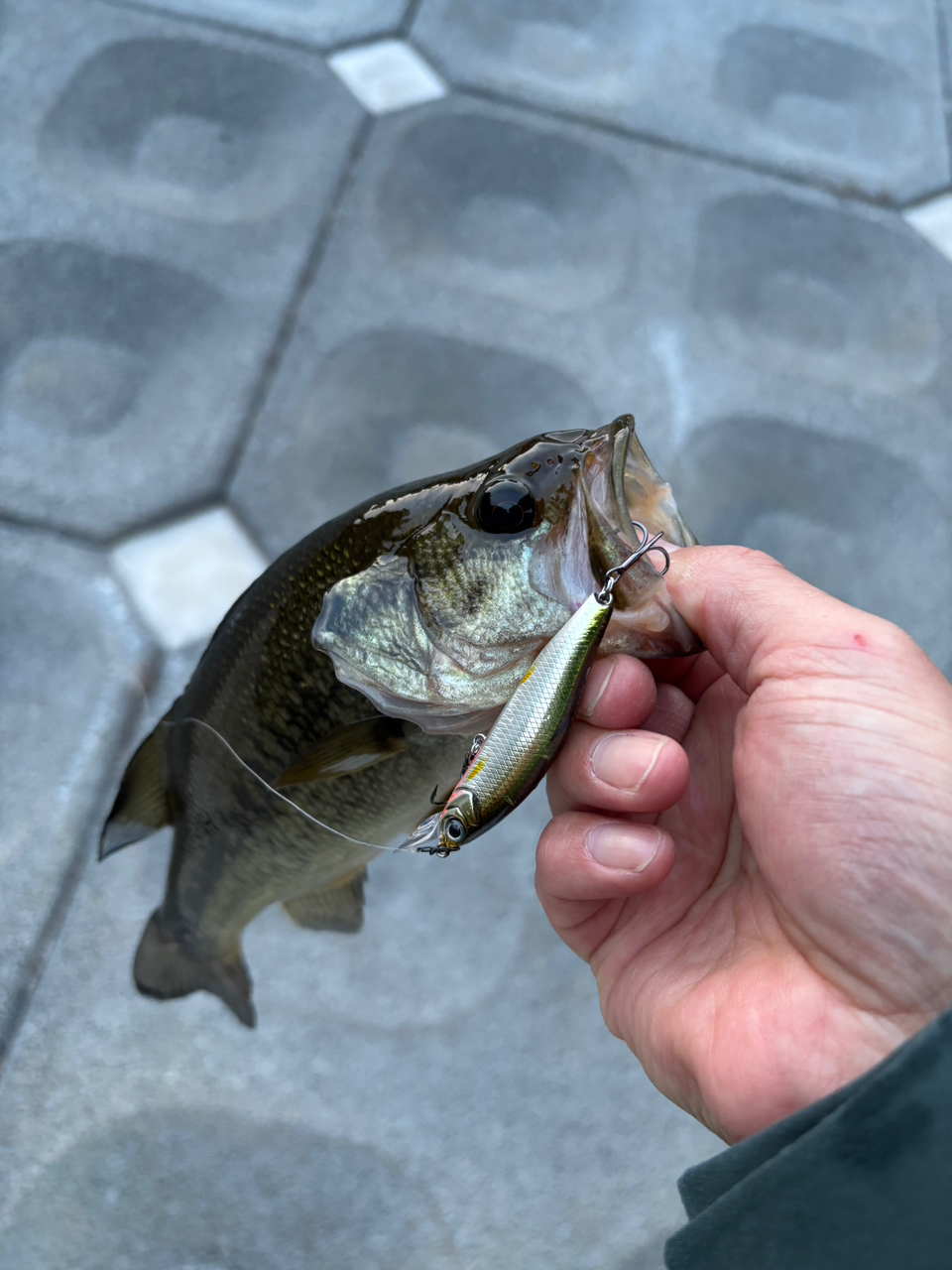 DAIWA ハートランド 2018年モデルの最安値・インプレ・釣果