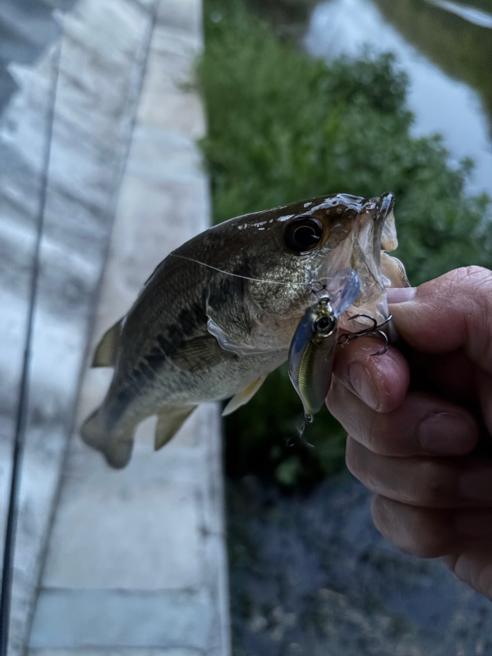 DAIWA 18ハートランド 722ML+FB-ST20の最安値・インプレ・釣果 DAIWA 18ハートランド 722ML+FB-ST20の最安値・インプレ・釣果