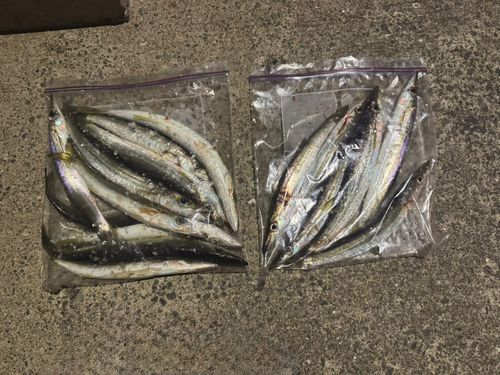 釣果