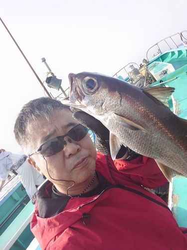 クロムツの釣果