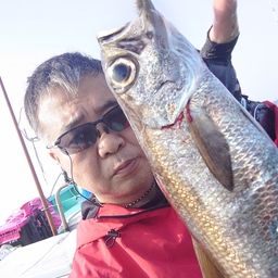 クロムツ
