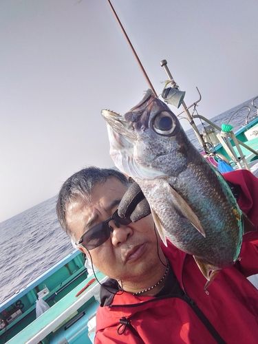 クロムツの釣果