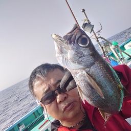 クロムツ