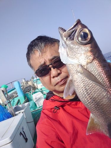 クロムツの釣果