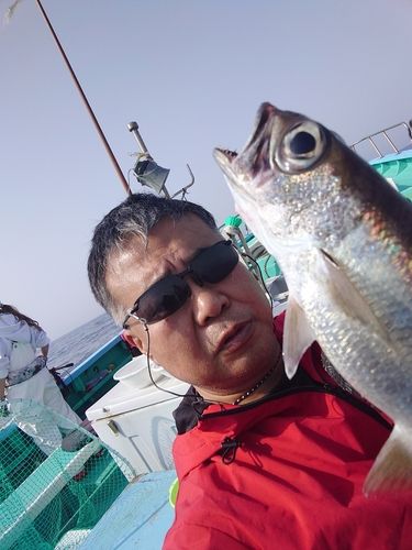 クロムツの釣果