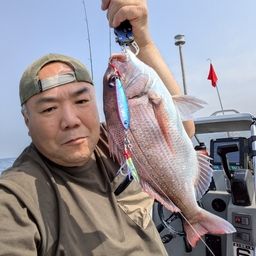 マダイ