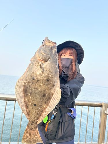 ヒラメの釣果