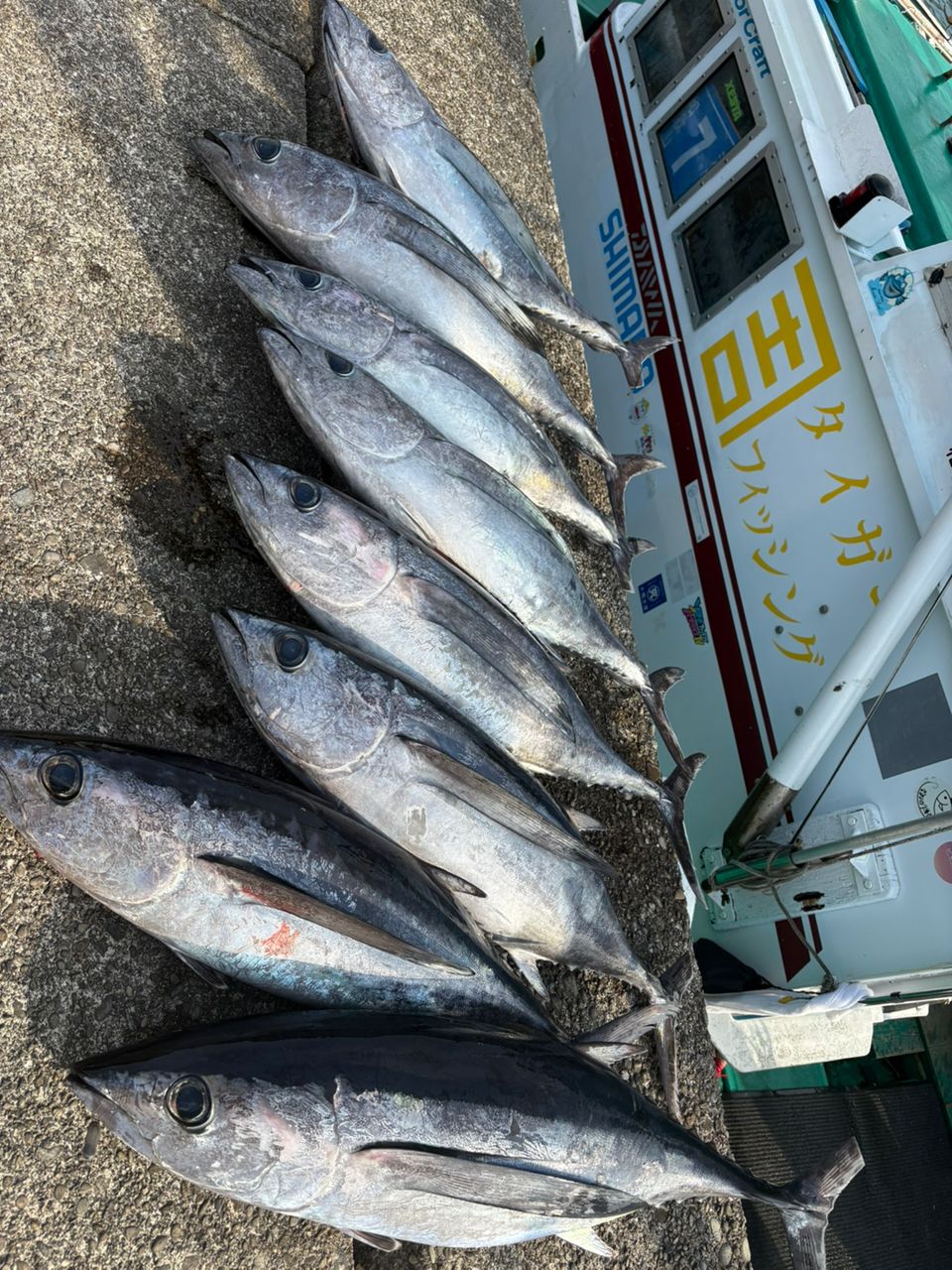 タイガーフィッシング奏丸さんの釣果 1枚目の画像